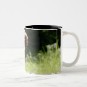 Caneca De Café Em Dois Tons Setter irlandês