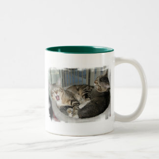 Caneca De Café Em Dois Tons Seus gatos de uma vida do duro