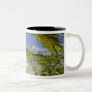 Caneca De Café Em Dois Tons Seychelles, Ilha Curieuse, Baía Laraie