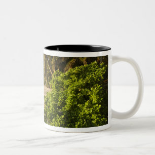 Caneca De Café Em Dois Tons Seychelles, Ilha de Mahe, Anse Marie-Louise