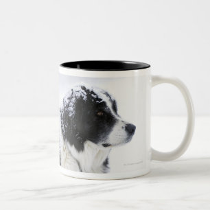 Caneca De Café Em Dois Tons Sheepdog (Akbash/mistura do collie) que