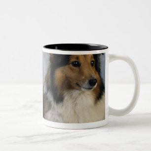 Caneca De Café Em Dois Tons Sheepdogs de Shetland