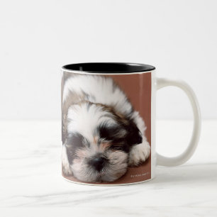 Caneca De Café Em Dois Tons Shih Tzu