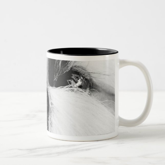 Caneca De Café Em Dois Tons Shih Tzu (Direita)