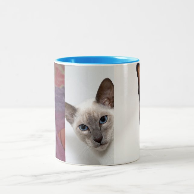 CANECA DE CAFÉ EM DOIS TONS SIAMESE  (Centro)