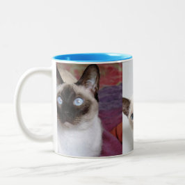 CANECA DE CAFÉ EM DOIS TONS SIAMESE 