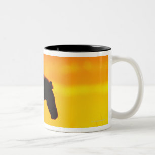 Caneca De Café Em Dois Tons Silhueta da zebra no savanna