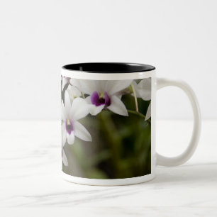 Caneca De Café Em Dois Tons Singapura (Sânscrito para Cidade do Leão). Naciona