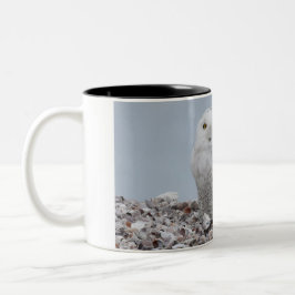 Caneca De Café Em Dois Tons Snowy Owl nas conchas