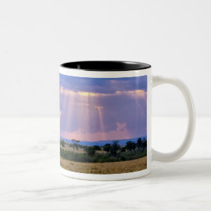 Caneca De Café Em Dois Tons Sol se pondo no Masai Mara.