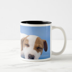 Caneca De Café Em Dois Tons Sono do cão