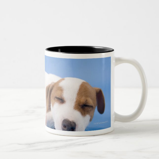 Caneca De Café Em Dois Tons Sono do cão (Direita)