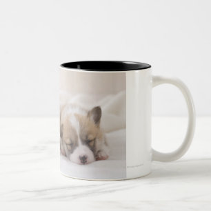 Caneca De Café Em Dois Tons Sono do Corgi dois Galês