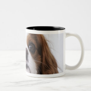Caneca De Café Em Dois Tons Spaniel de rei Charles descuidado que senta-se no