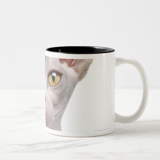 Caneca De Café Em Dois Tons Sphynx (7 meses velho) (Direita)