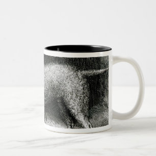 Caneca De Café Em Dois Tons Sr. F. Armstrong dos terrier de Bedlington