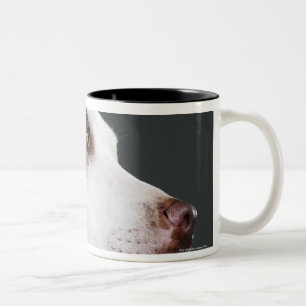 Caneca De Café Em Dois Tons Staffordshire bull terrier, fim-acima