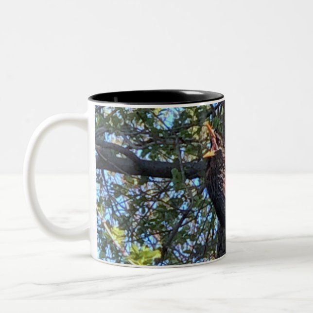 Caneca De Café Em Dois Tons Starling Bird Mug (Esquerda)