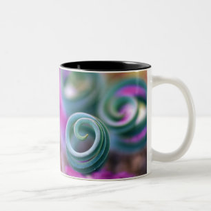 Caneca De Café Em Dois Tons Sul Namaqualândia, folhas de lírio enroladas. Créd