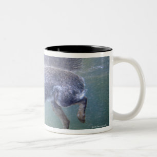 Caneca De Café Em Dois Tons Sun Valley, Idaho, EUA