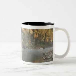 Caneca De Café Em Dois Tons Sunrise no Roark Bluff, acesso ao Steel Creek,