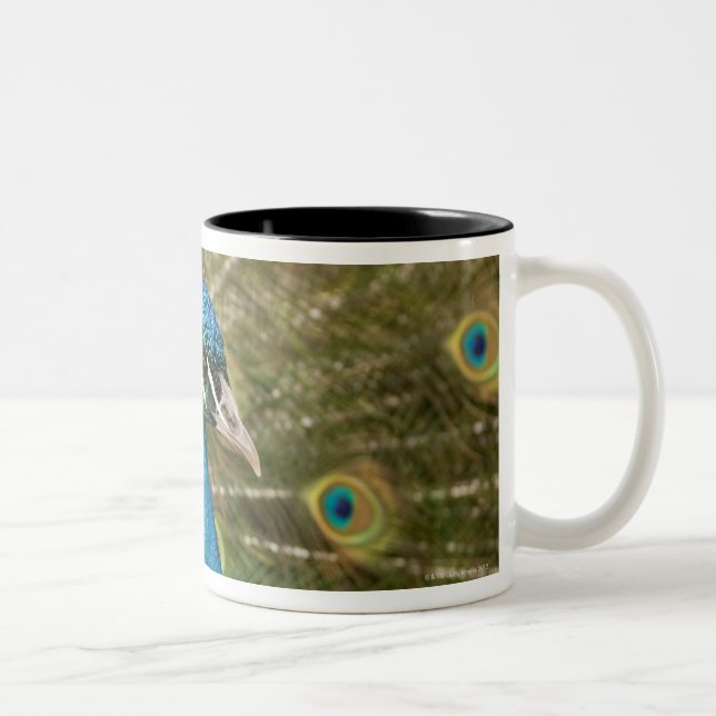 Caneca De Café Em Dois Tons Suportar do pavão (Direita)