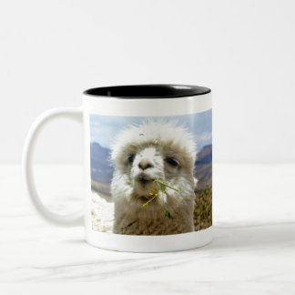 Caneca De Café Em Dois Tons Süsses Alpaca
