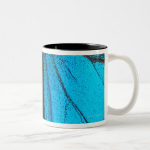 Caneca De Café Em Dois Tons Swallowtail azul da montanha (Papilio ulysses)