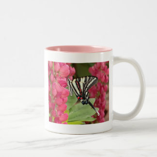Caneca De Café Em Dois Tons Swallowtail da zebra