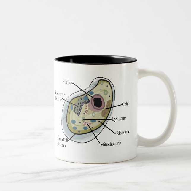 Caneca De Café Em Dois Tons T-shirt humanos da biologia celular (Direita)