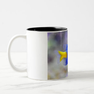 Caneca De Café Em Dois Tons Taça com Peixe Sortudo