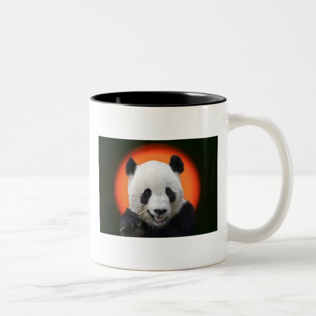 CANECA DE CAFÉ EM DOIS TONS TAI SHAN (Direita)