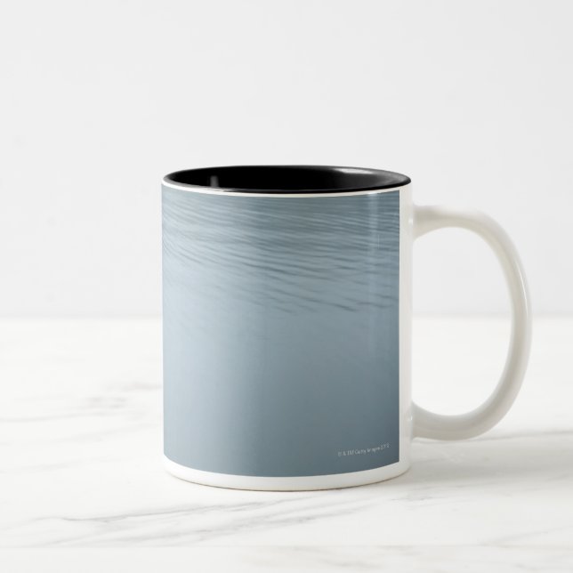 Caneca De Café Em Dois Tons Tanuki-ko, lago Tanuki (Direita)