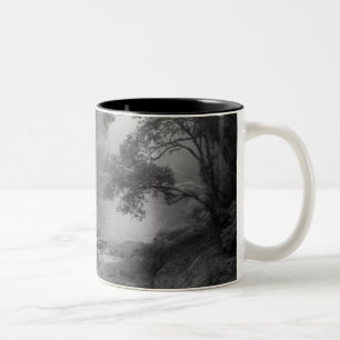 Caneca De Café Em Dois Tons Tao-Te-Ching No.5/Mug