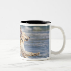 Caneca De Café Em Dois Tons tarifa, cadiz, a Andaluzia, espanha