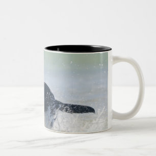 Caneca De Café Em Dois Tons tarifa, cadiz, espanha