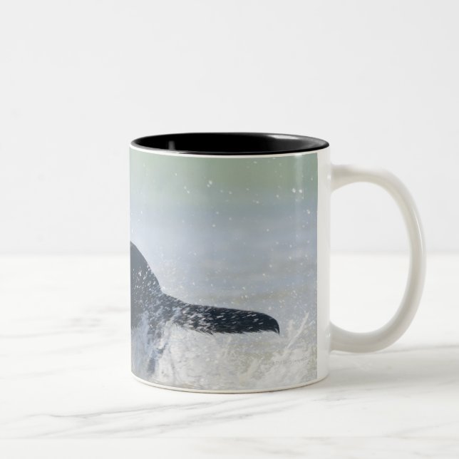 Caneca De Café Em Dois Tons tarifa, cadiz, espanha (Direita)