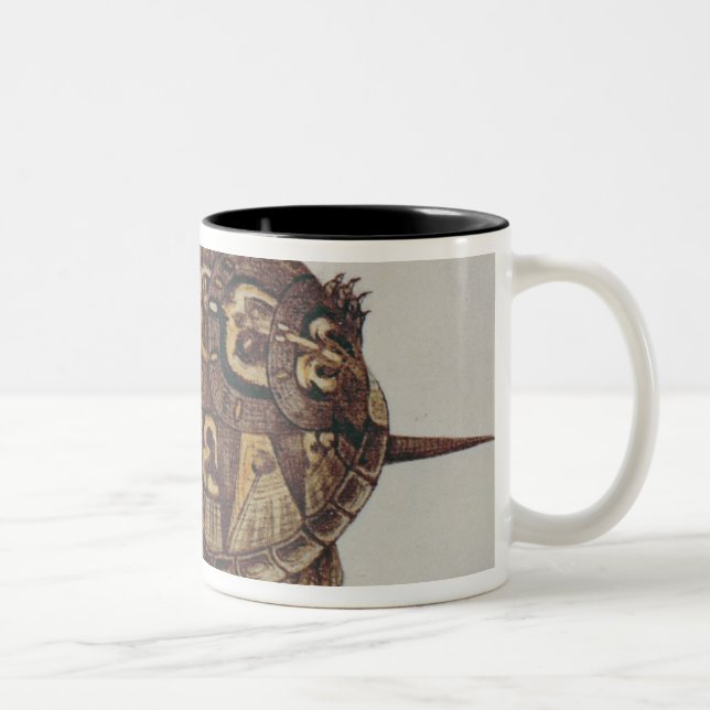 Caneca De Café Em Dois Tons Tartaruga de caixa comum (Direita)