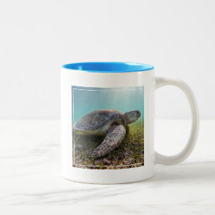 Caneca De Café Em Dois Tons Tartaruga de mar verde na baía do crepúsculo  