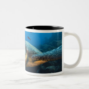 Caneca De Café Em Dois Tons Tartaruga Preta (Verde) (Chelonia agassizi)