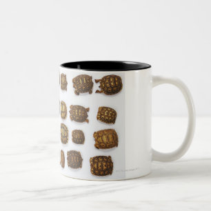 Caneca De Café Em Dois Tons Tartarugas do bebê arranjadas nas fileiras