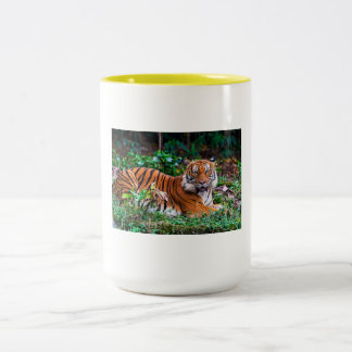 Caneca De Café Em Dois Tons taza tg