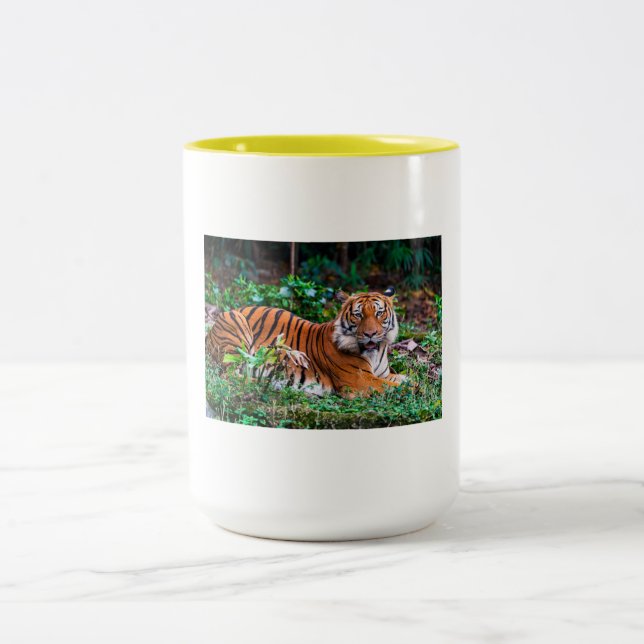 Caneca De Café Em Dois Tons taza tg (Centro)
