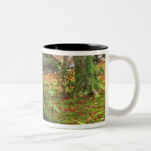 Caneca De Café Em Dois Tons Templo Giohji, Arashiyama, Quioto, Japão
