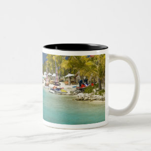 Caneca De Café Em Dois Tons Terrenos e cenários do novo luxuoso St. 2