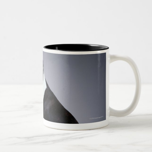 Caneca De Café Em Dois Tons Terrier brincalhão de Boston (Direita)