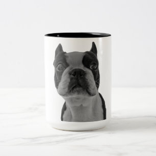 Caneca De Café Em Dois Tons Terrier de Boston