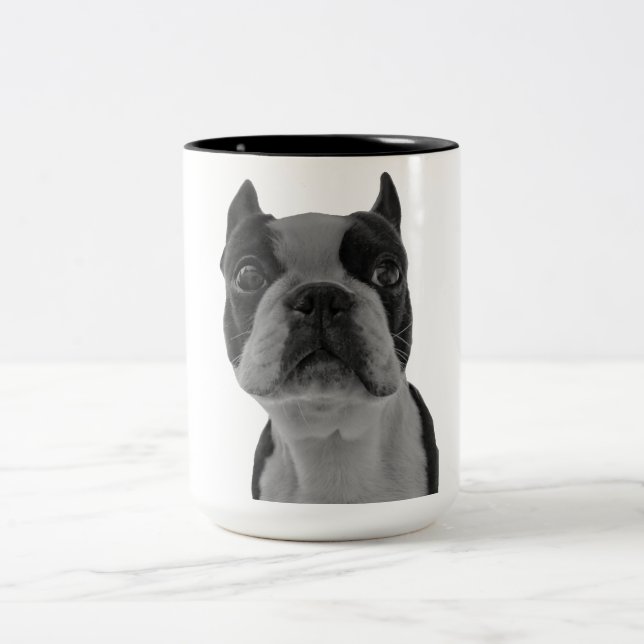 Caneca De Café Em Dois Tons Terrier de Boston (Centro)