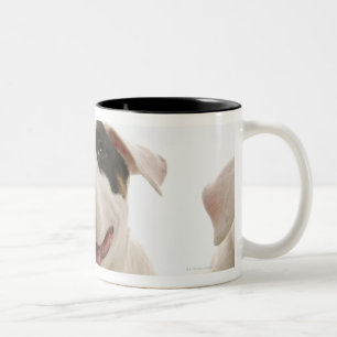 Caneca De Café Em Dois Tons Terrier de Bull