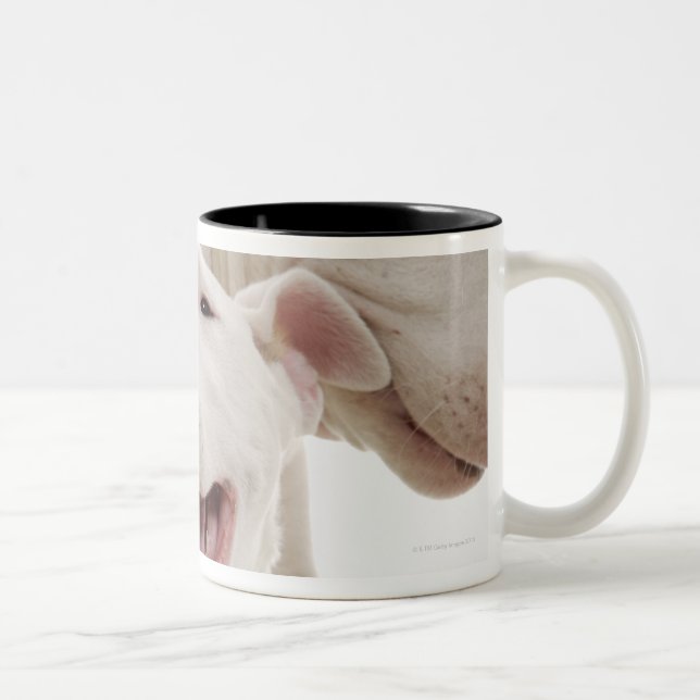 Caneca De Café Em Dois Tons Terrier de Bull alegres (Direita)